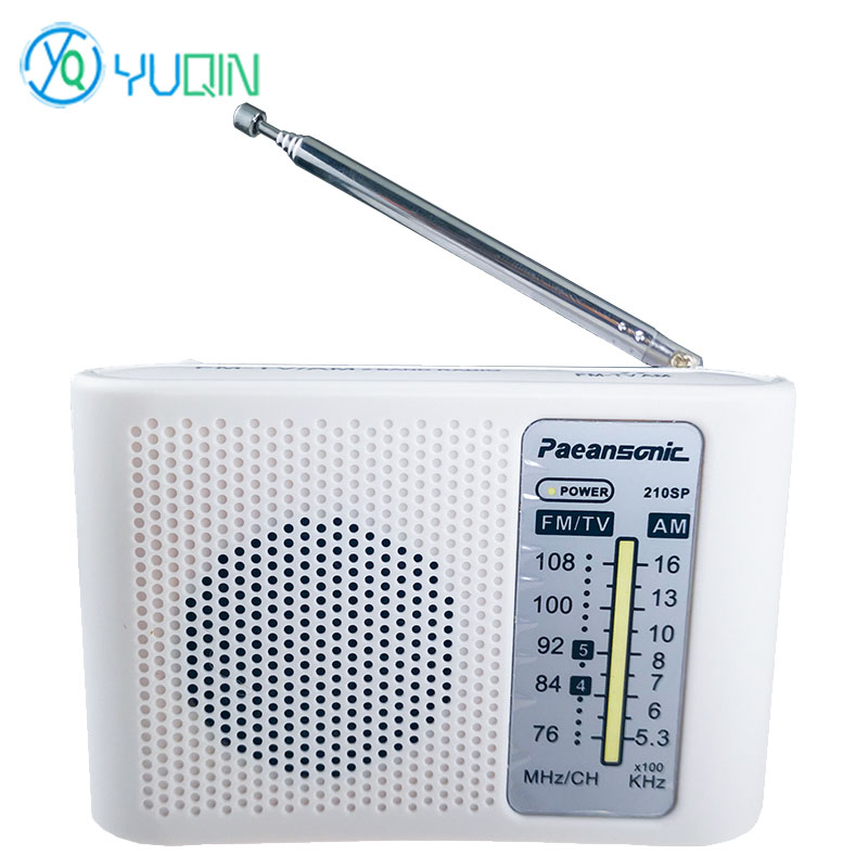 210SP AM/FM Radio Kit DIY Elec – обзор и цена Diy Electronics Projects For Beginners